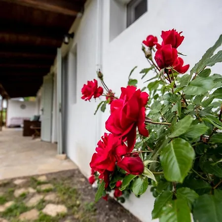 Florie Holiday home *