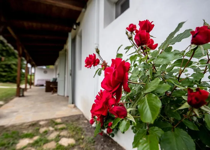 Florie Prázdninový dům *